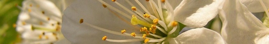 RIMG0675 (Mittel).JPG